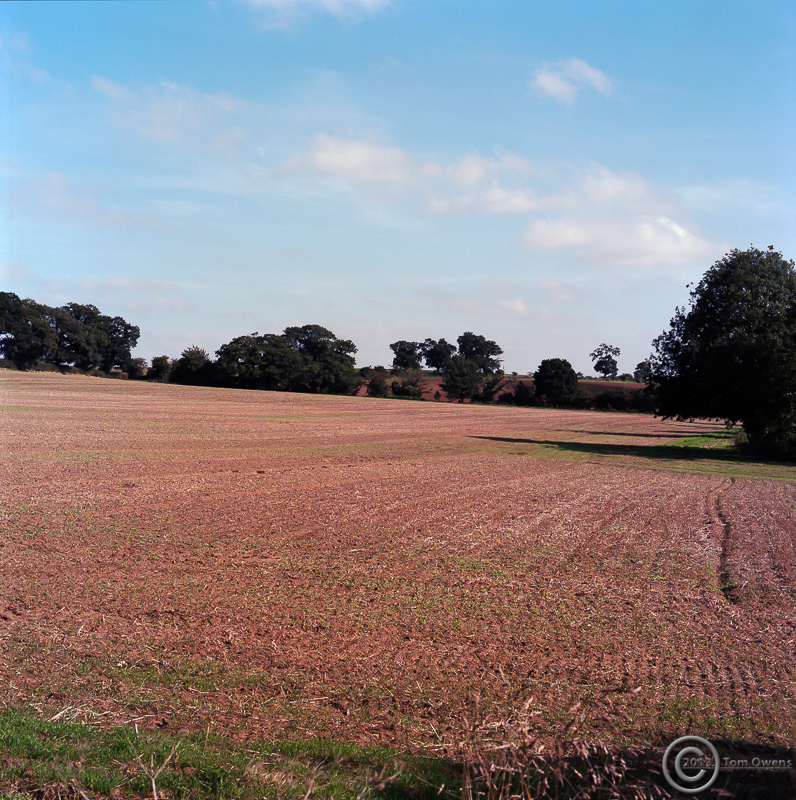 Waldringfield1_P160