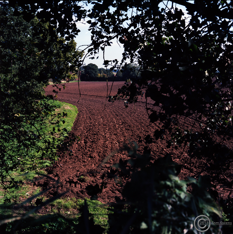 Waldringfield2_P160