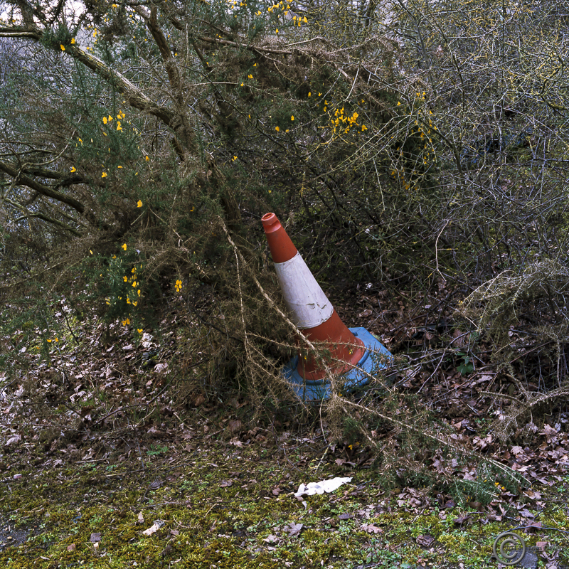 Traffic cone March 2014 Kodak Portra 400