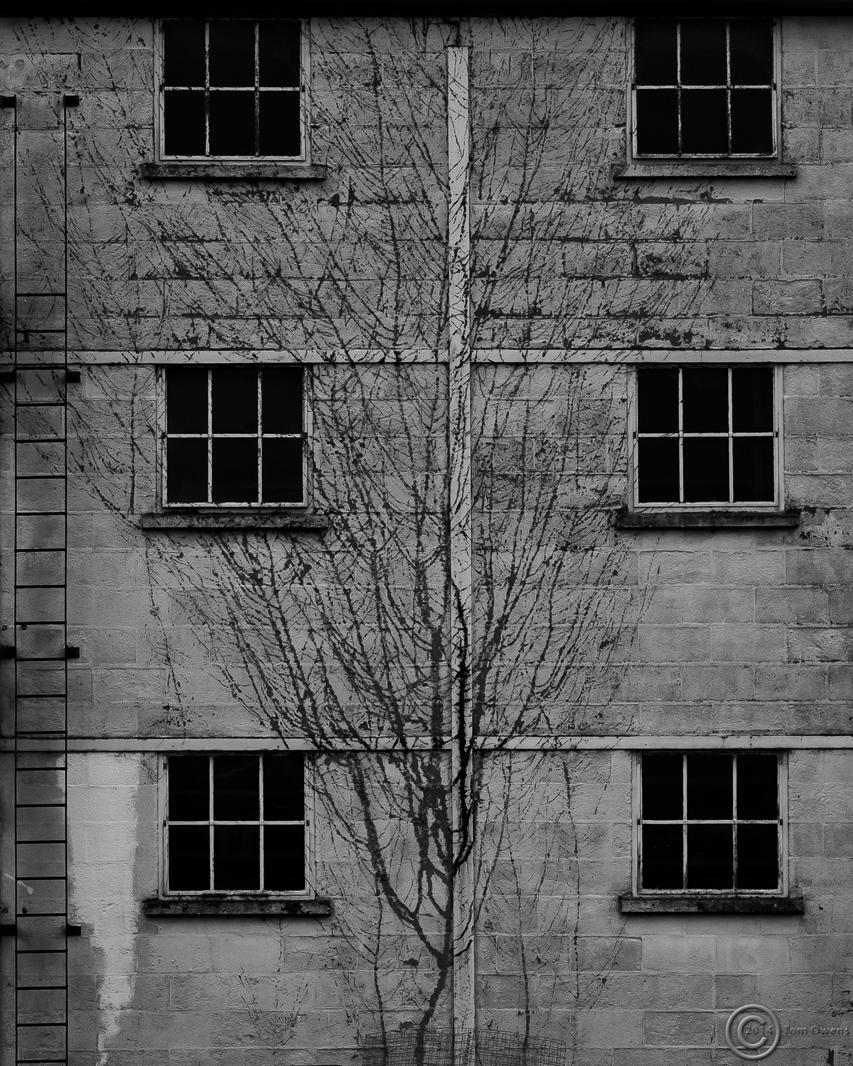 As the mind's eye saw it