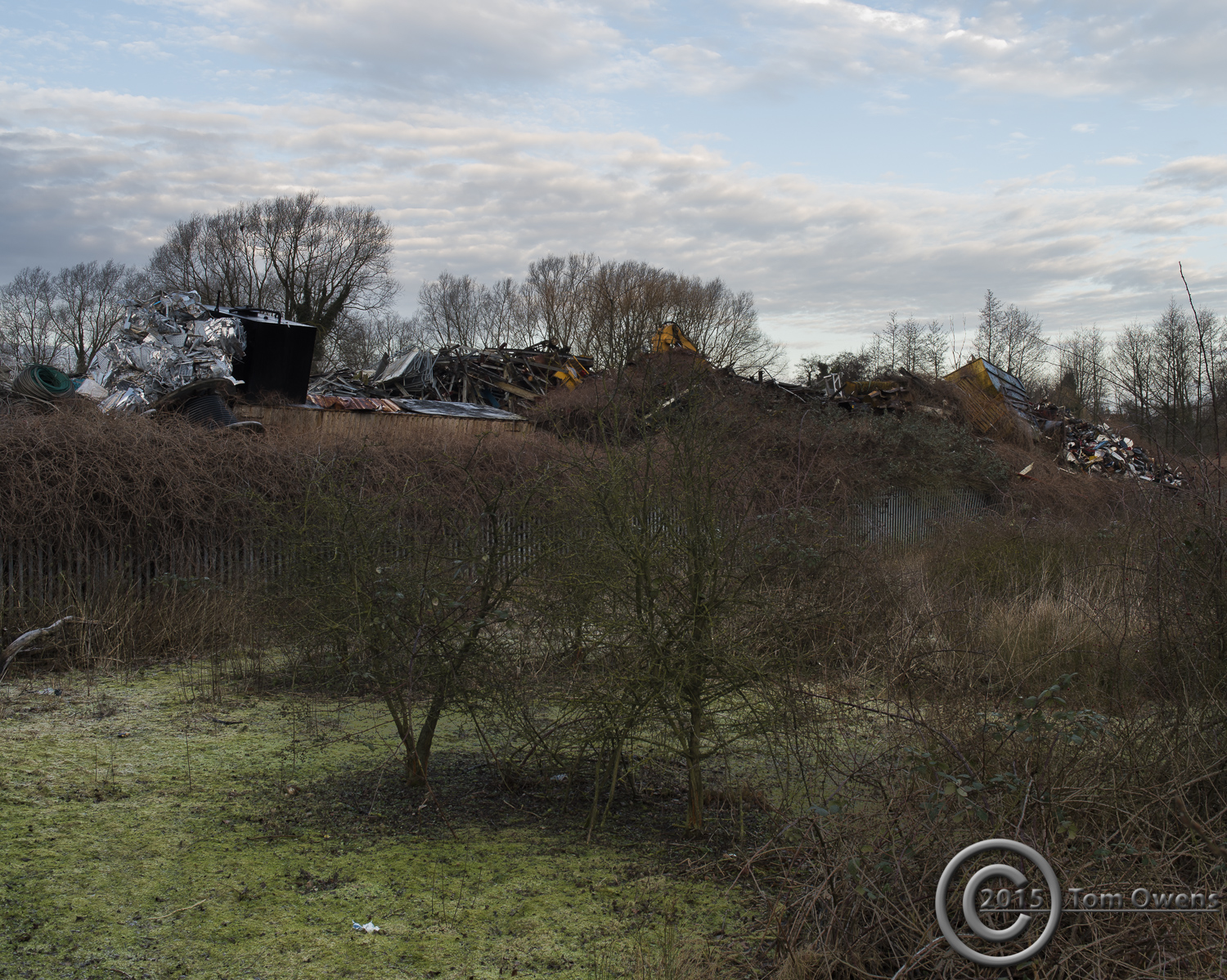 Original file cropped 5x4 in camera