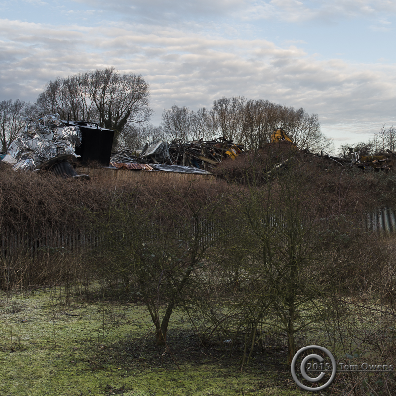 1:1 crop of of left portion