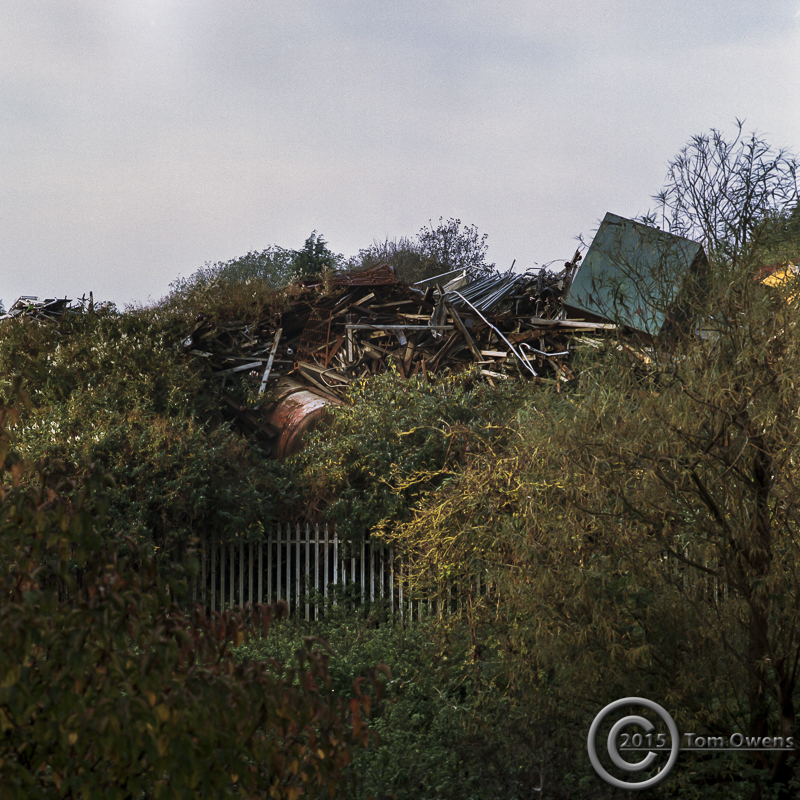 Intertwined scrap and vegetation