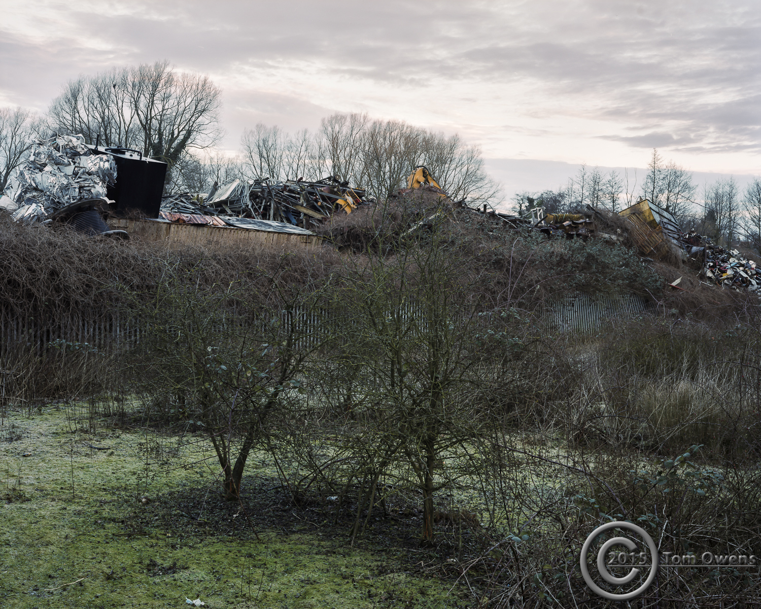 Scrapyard meets scrub