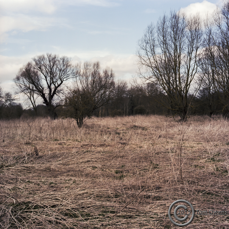 BSE20150327_1_8