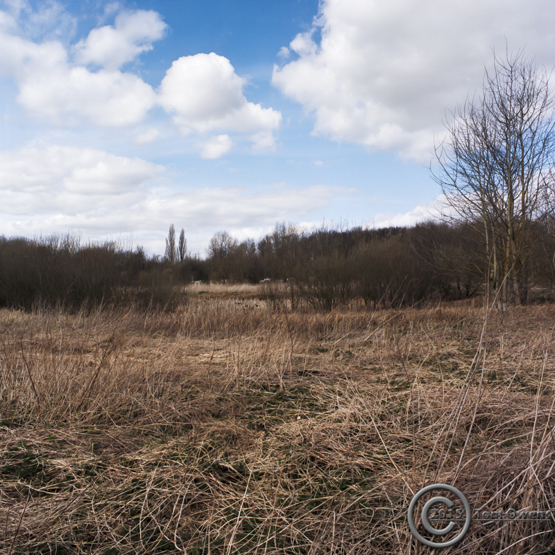 BSE20150327_2_7