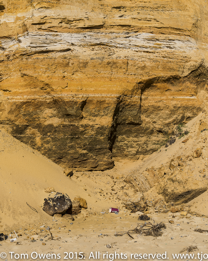 Fossil Cliff Easton Bavents