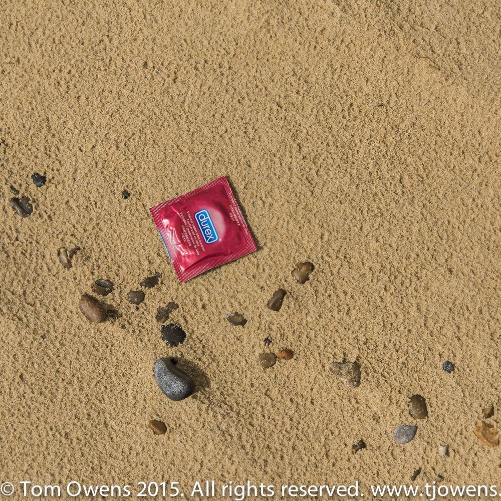 Some fell on stony ground fossil