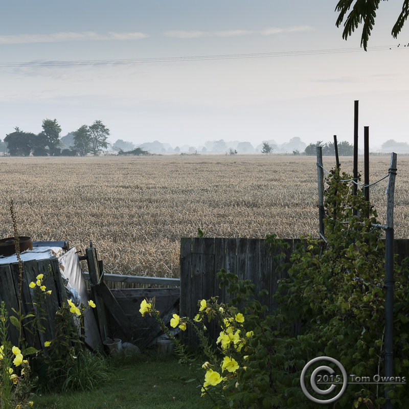 Harkstead just after sunrise