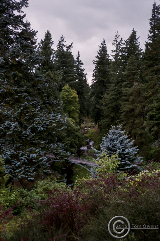 Iron Bridge Cragside