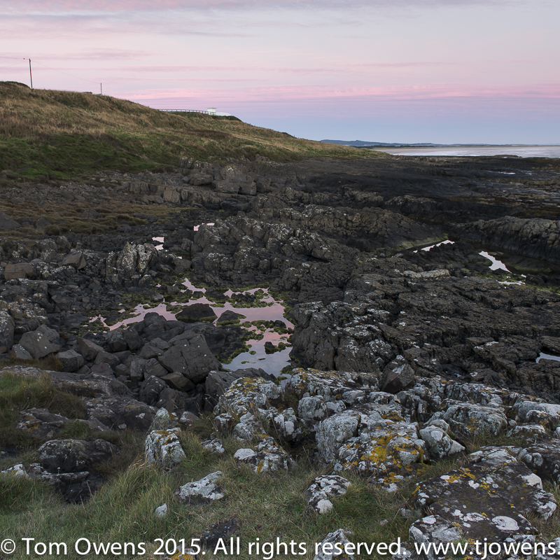 Budle Point Rock Pool