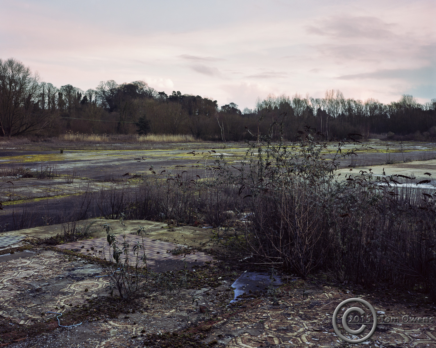 Melton after drumming