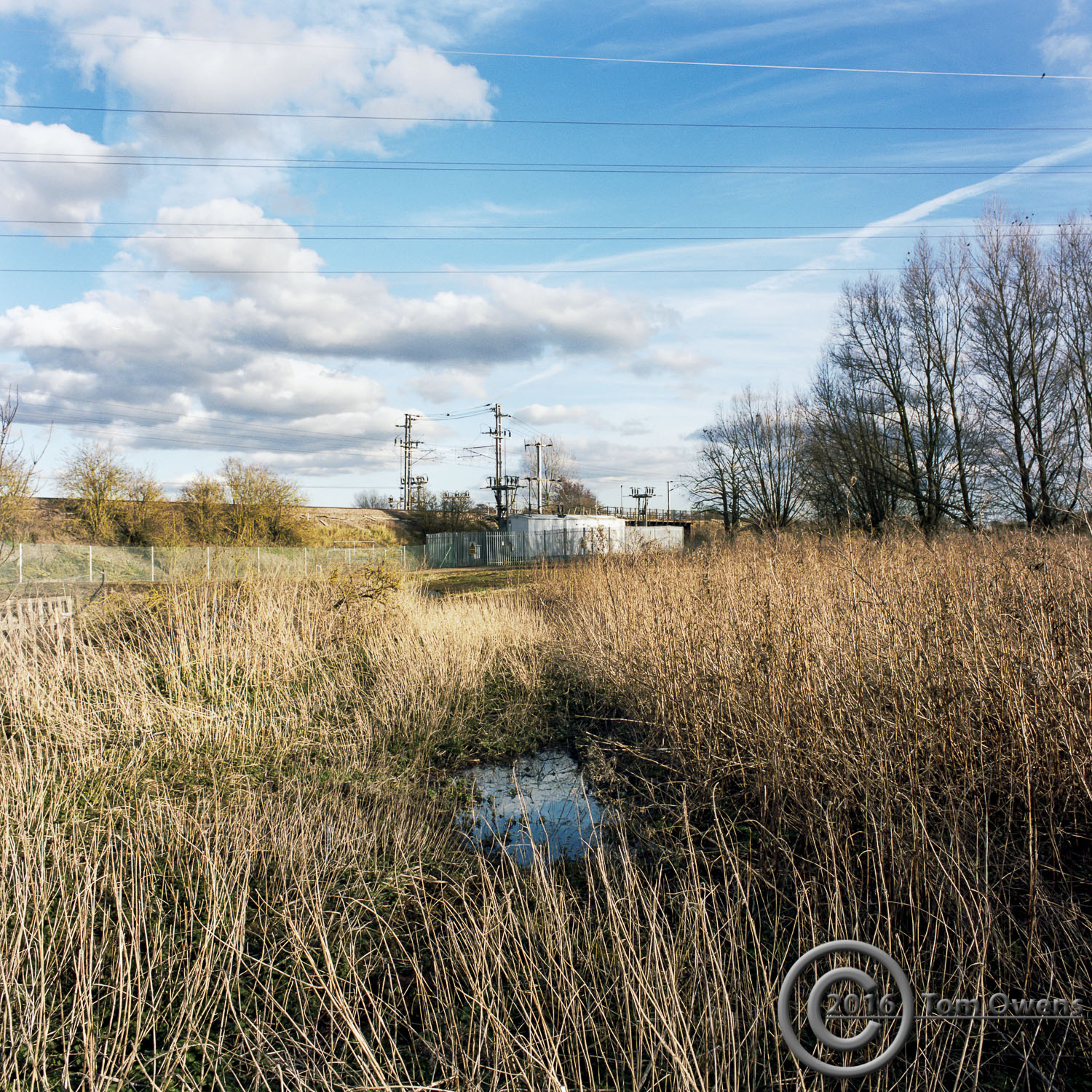 Looking through tall dry grasses towards the Stowmarket sub-station feeding the Norwich to London Intercity railway line.