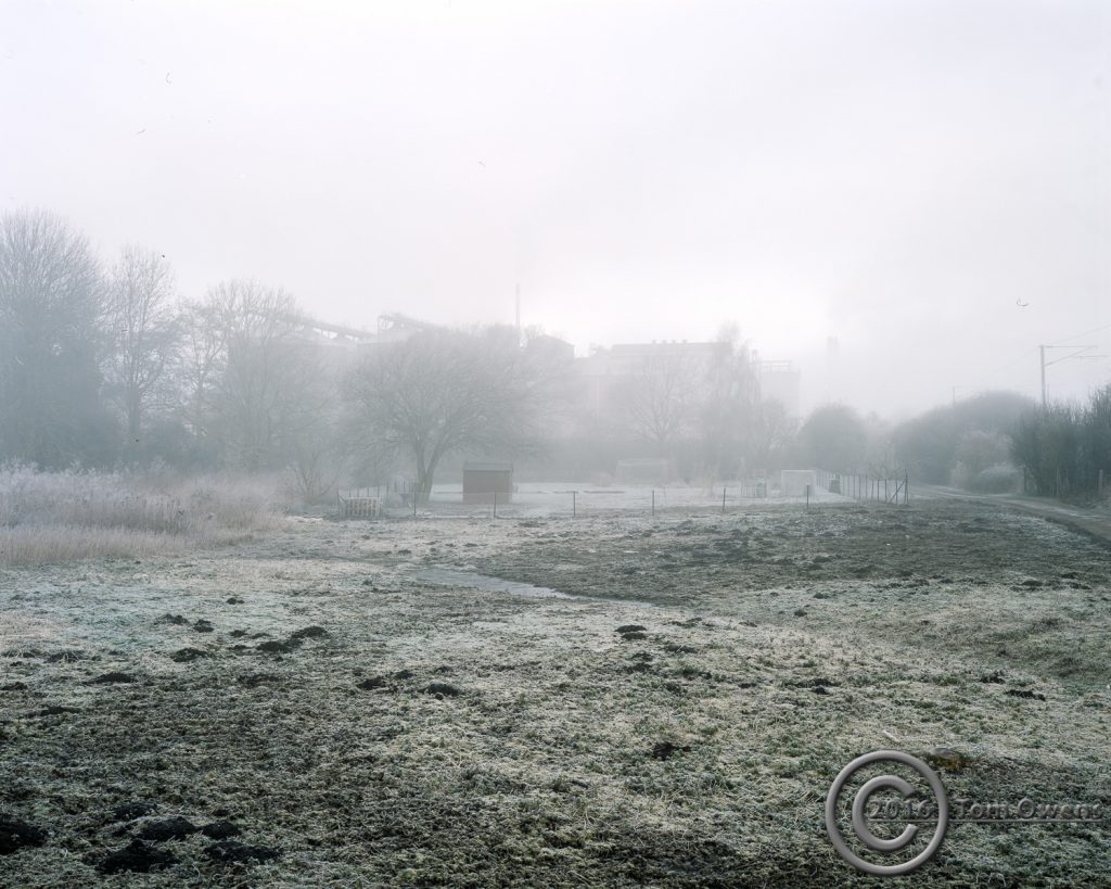 Muntons East aspect fog