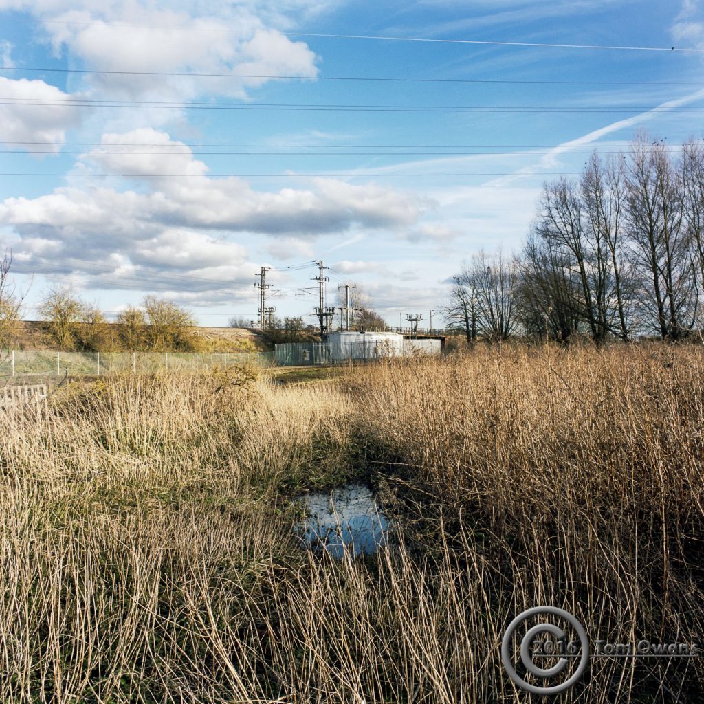 Looking through reeds towatrds the Stowmarket sub-station feeding the Norwich to London Intercity railway line.