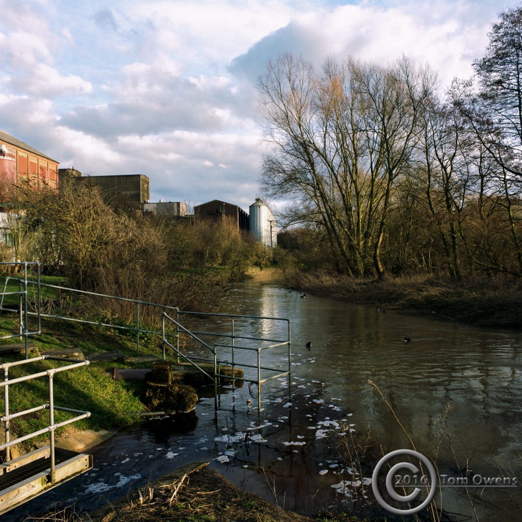 View downstream of River Gipping towards malt silos at Muntons Stowmarket in late afternoon light