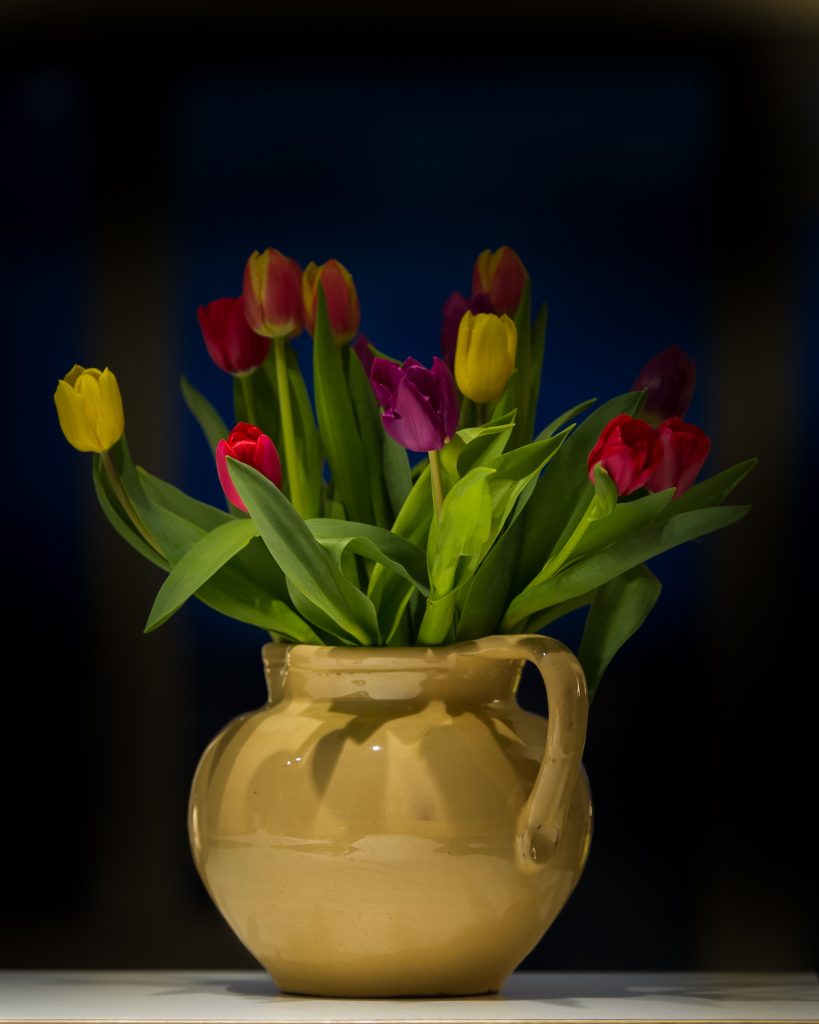 Jug of tulips