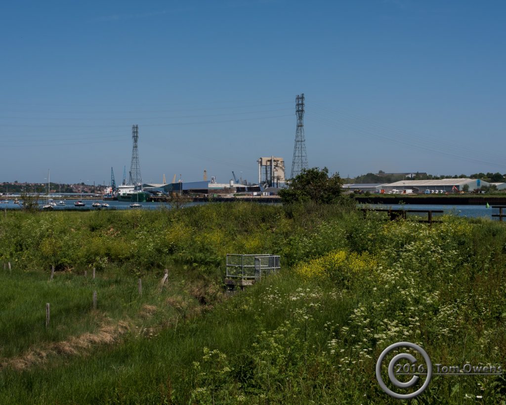 Grass foreground, Ipswich docks far ground