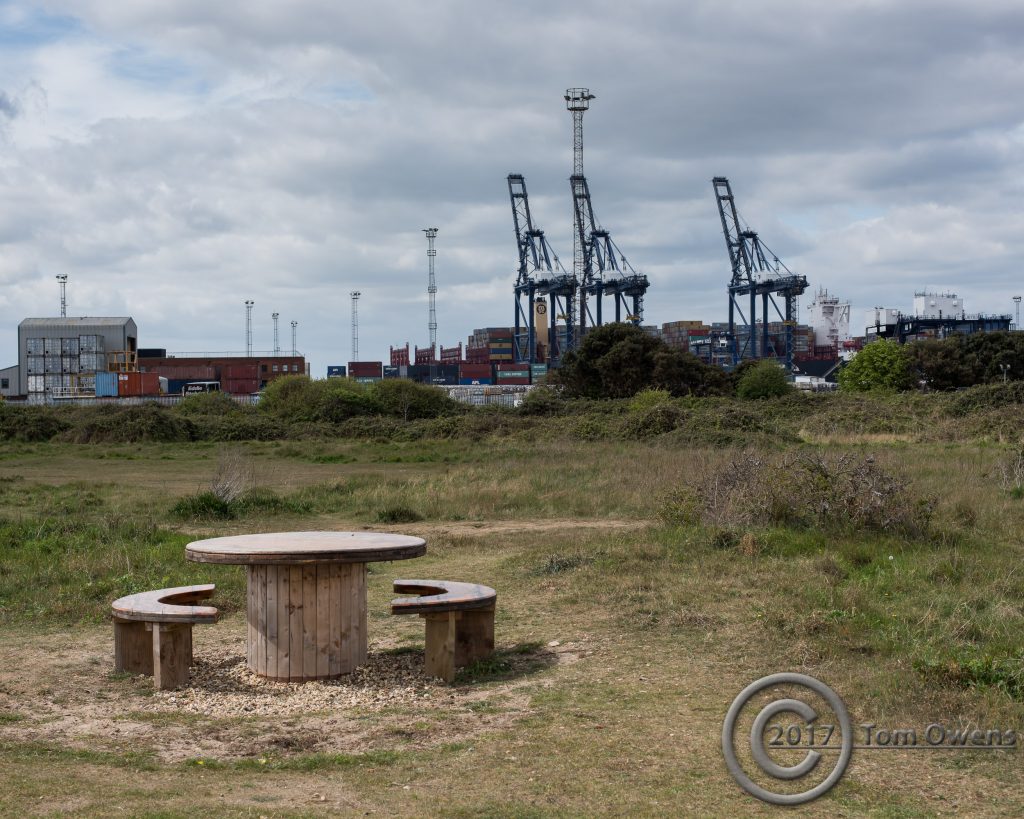 Picnic table with dock view