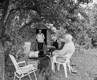 Welcome to the Funny Farm