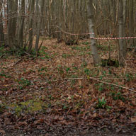 An Industrial Landscape