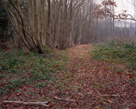 An Industrial Landscape