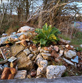 Edgelands Medium Format