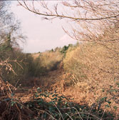 Edgelands Medium Format
