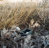 Edgelands Medium Format