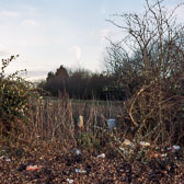Edgelands Medium Format