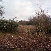 Edgelands Medium Format