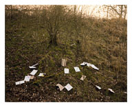 Edglelands Large Format