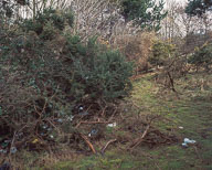 Espacio - Rooftop Collective