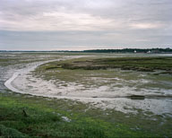 Estuarine Mud