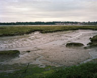 Estuarine Mud