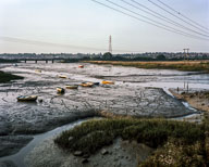 Estuarine Mud