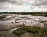 Estuarine Mud